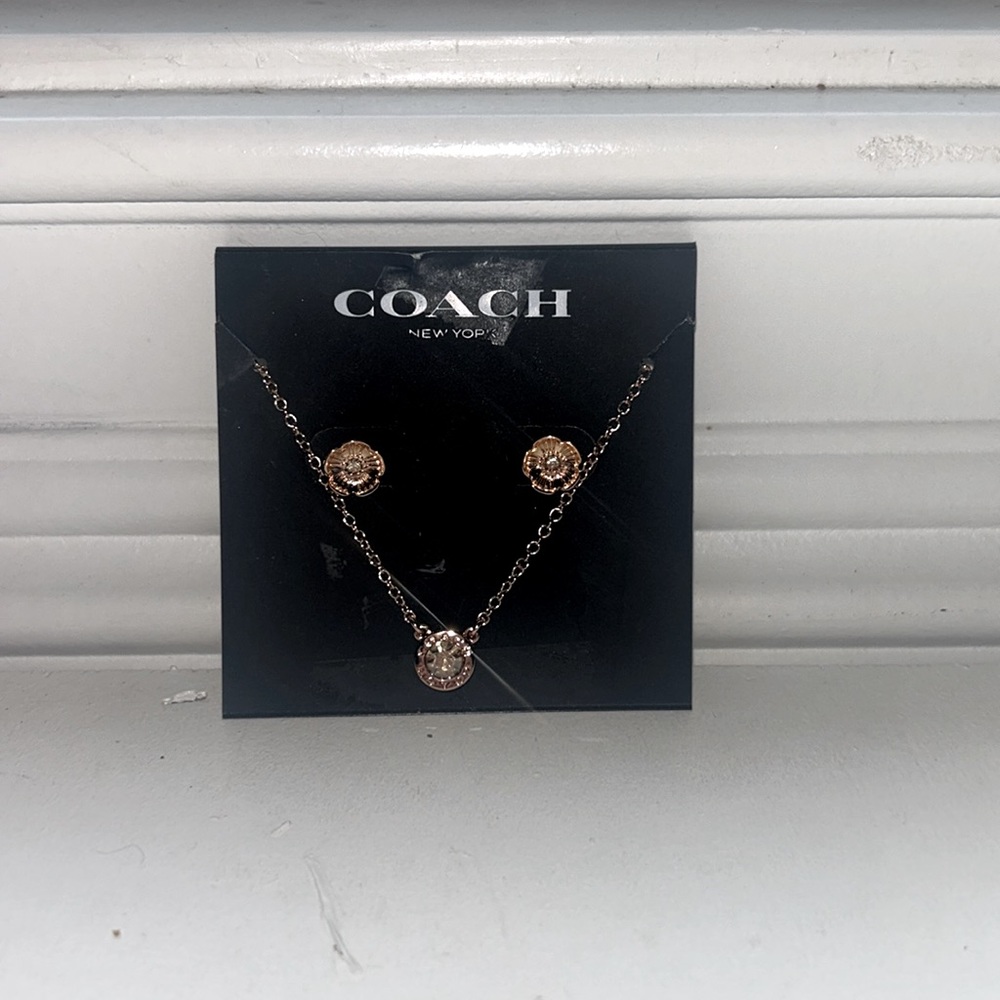Coach necklace and earrings